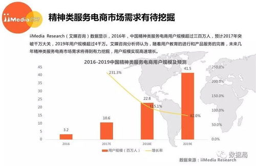 2017上半年中國精神類服務電商市場研究報告 教育咨詢領域深度解析